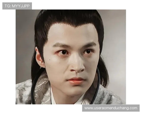 娱乐神话2004：揭秘2004年娱乐圈的明星崛起与影视作品的辉煌时刻